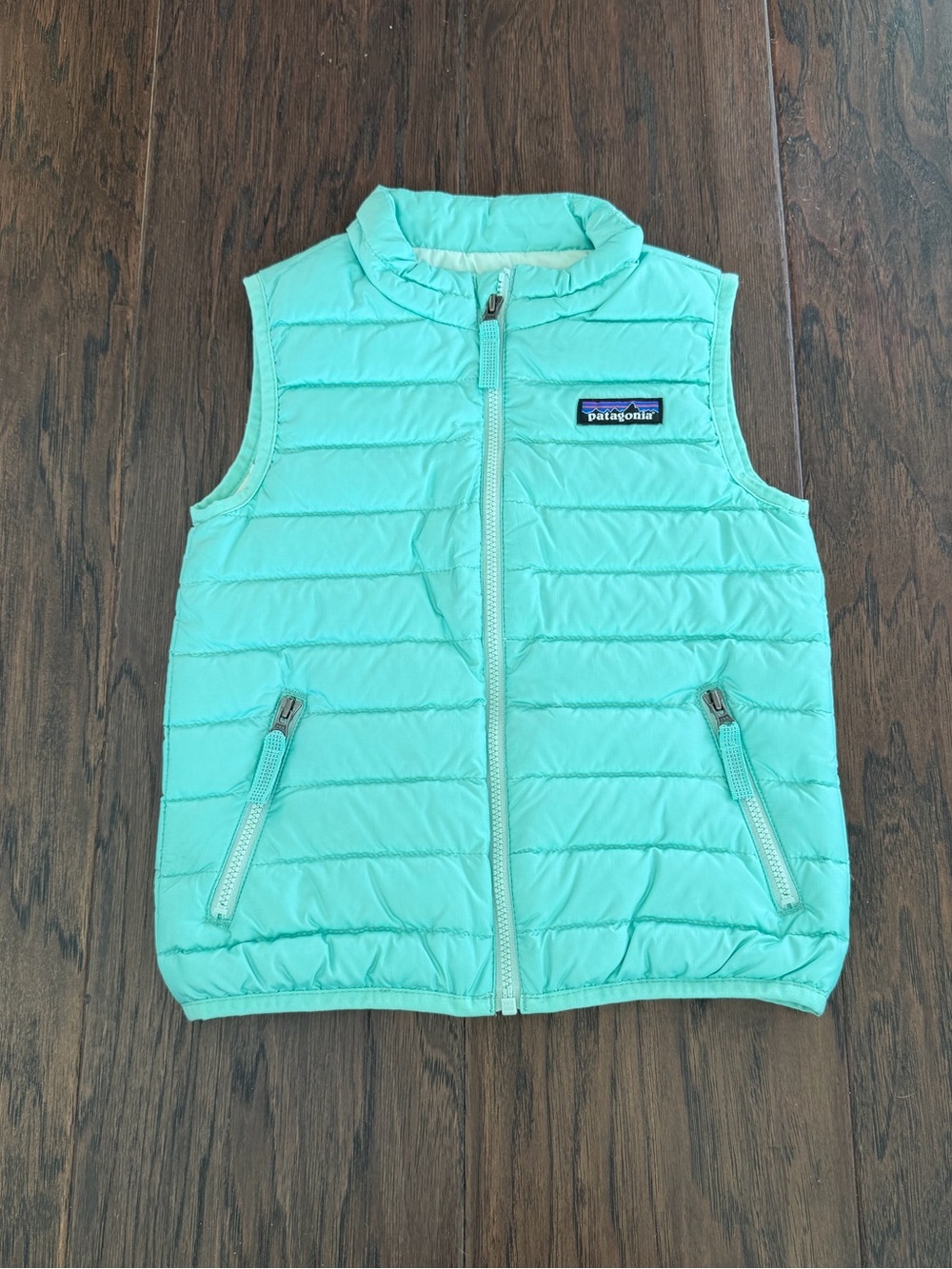 Patagonia vest